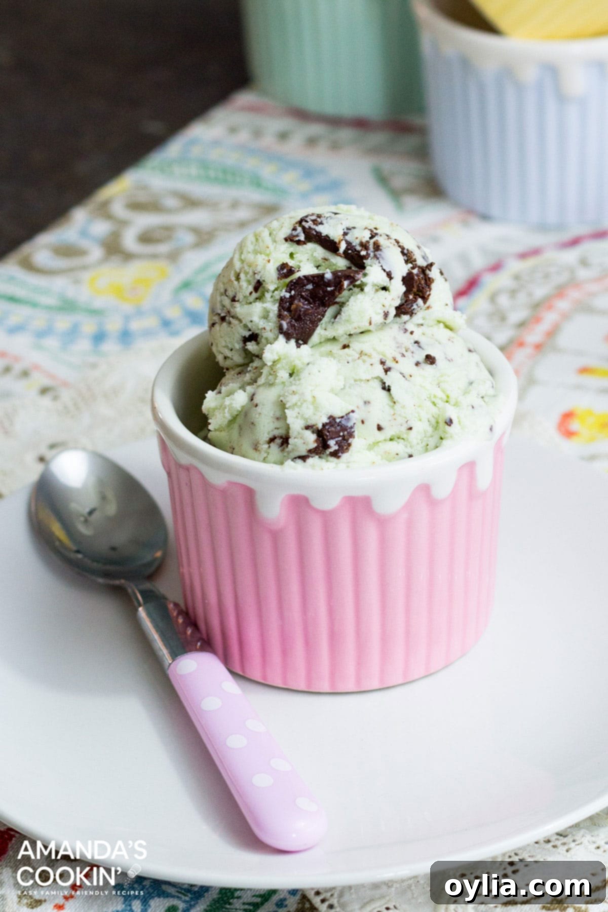 bowl of mint chocolate chip ice cream