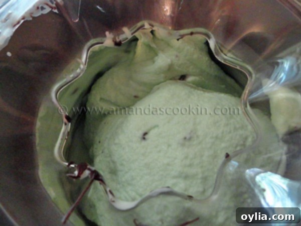A close up of a ice cream maker churning ice cream