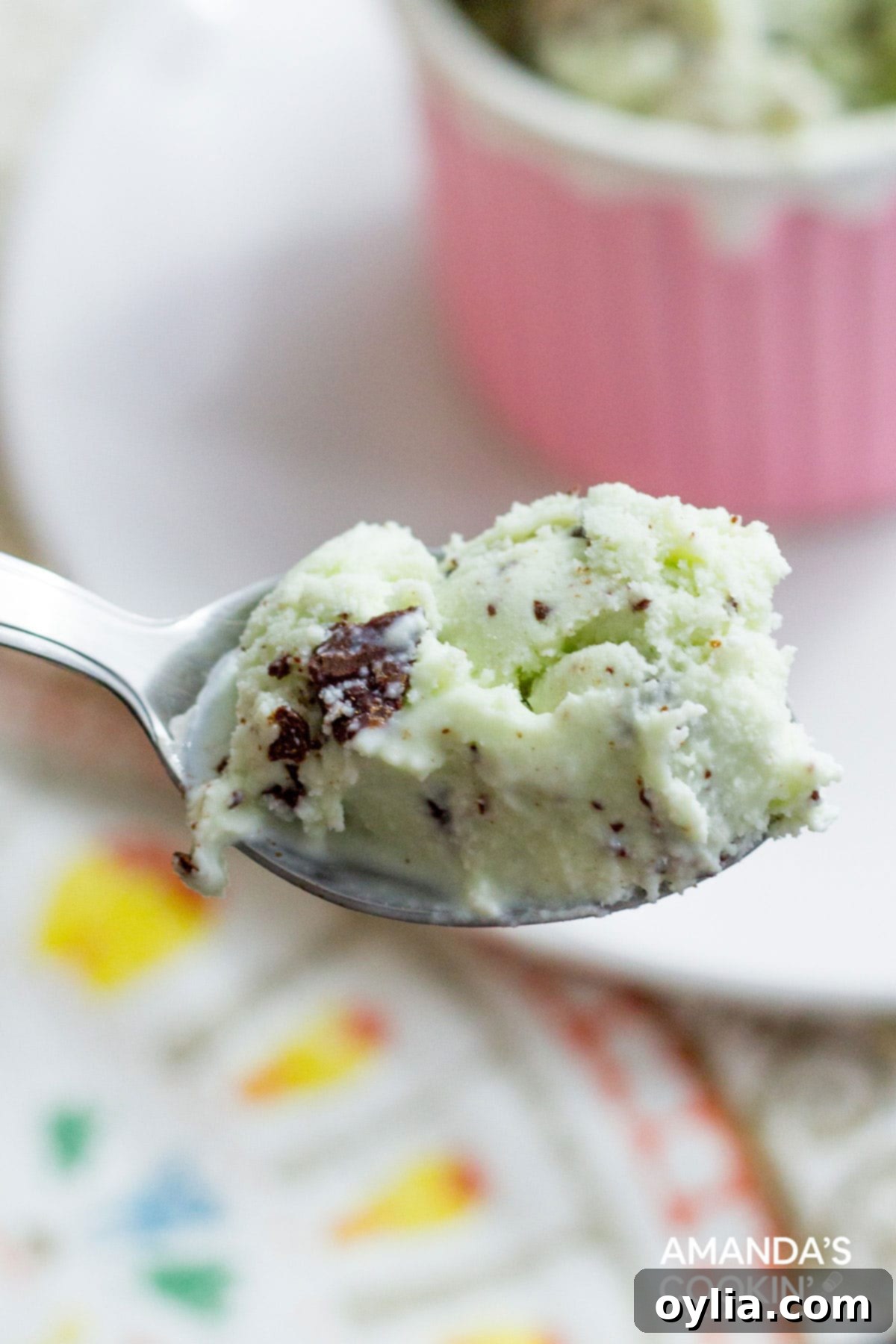 spoonful of mint chocolate chip ice cream
