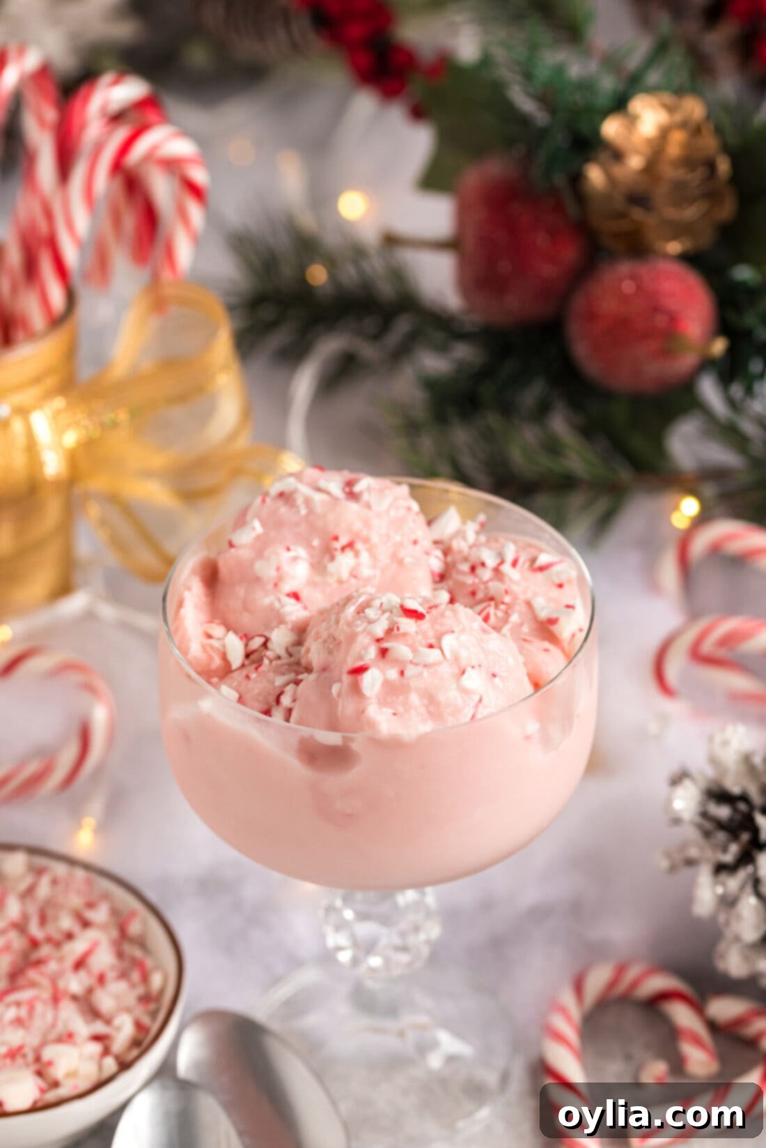 Homemade Pink Peppermint Ice Cream in a sundae cup, showing its creamy texture and crushed peppermint pieces.