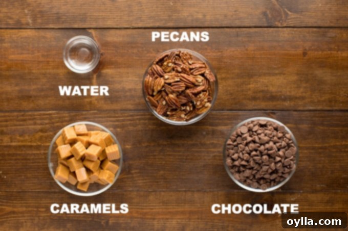 ingredients laid out for making chocolate turtle candies