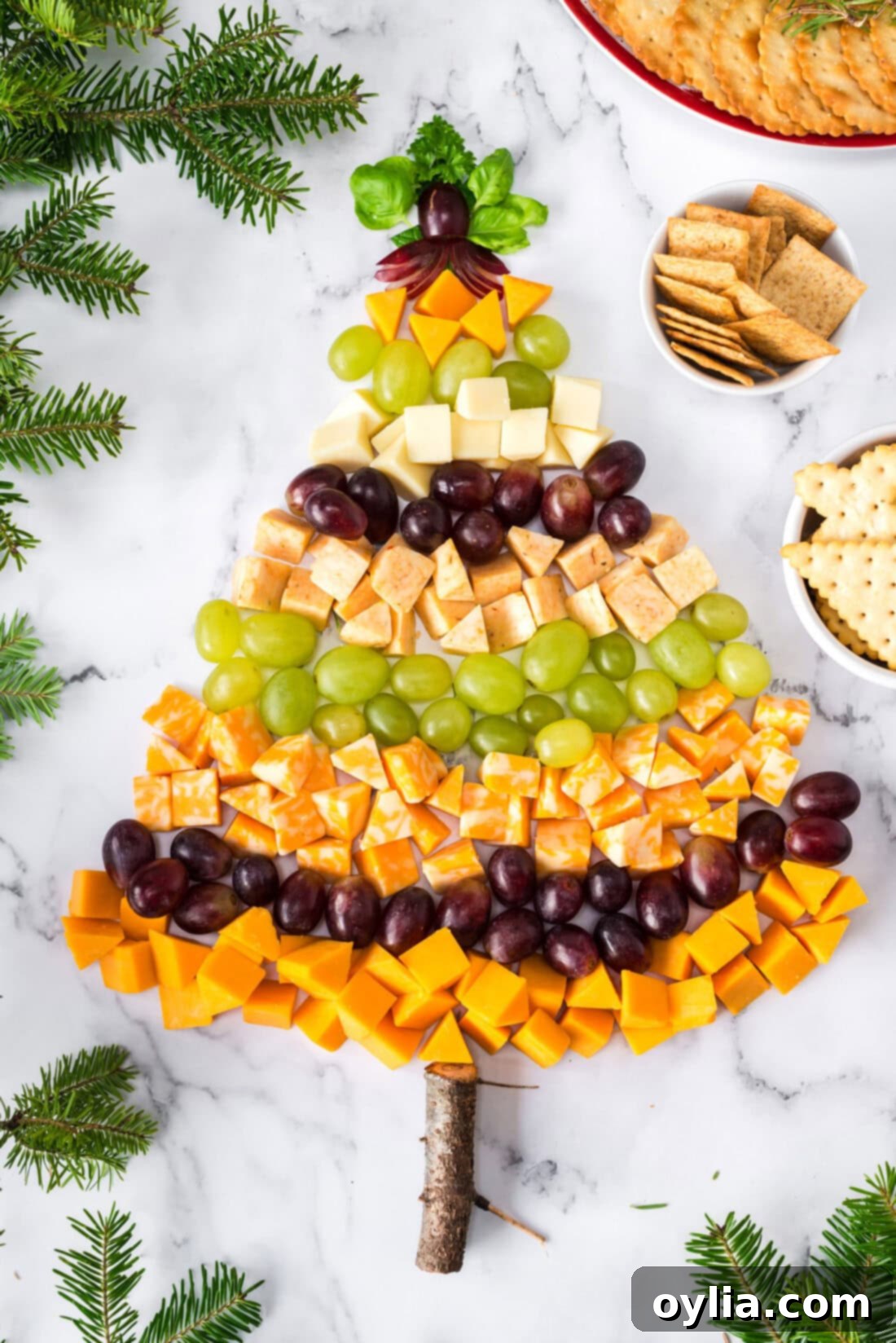 Overhead photo of a completed Christmas Tree Cheese Platter, ready for serving with crackers around it