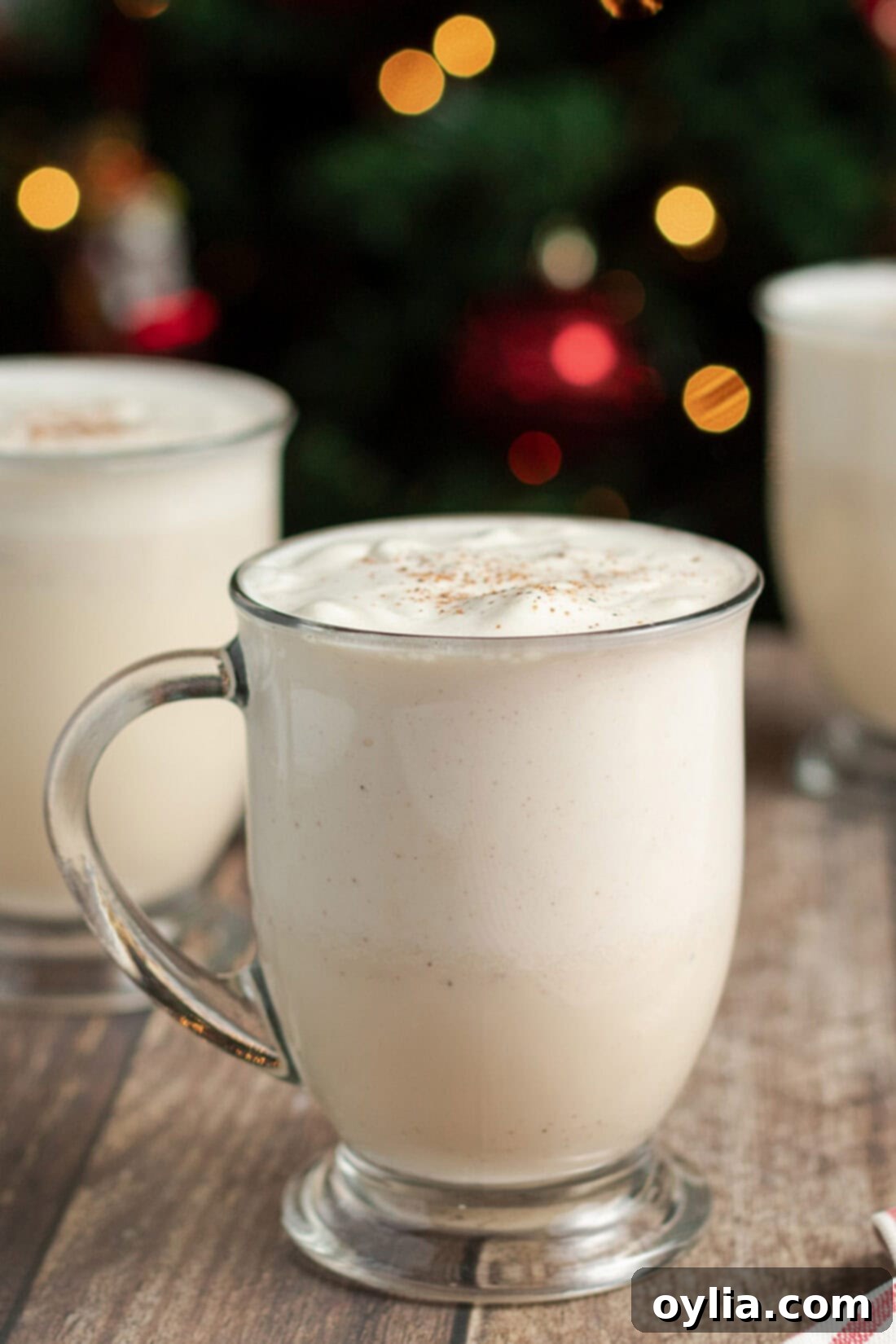 Velvety Holiday Eggnog 3 Close up photo of Homemade Eggnog in a mug