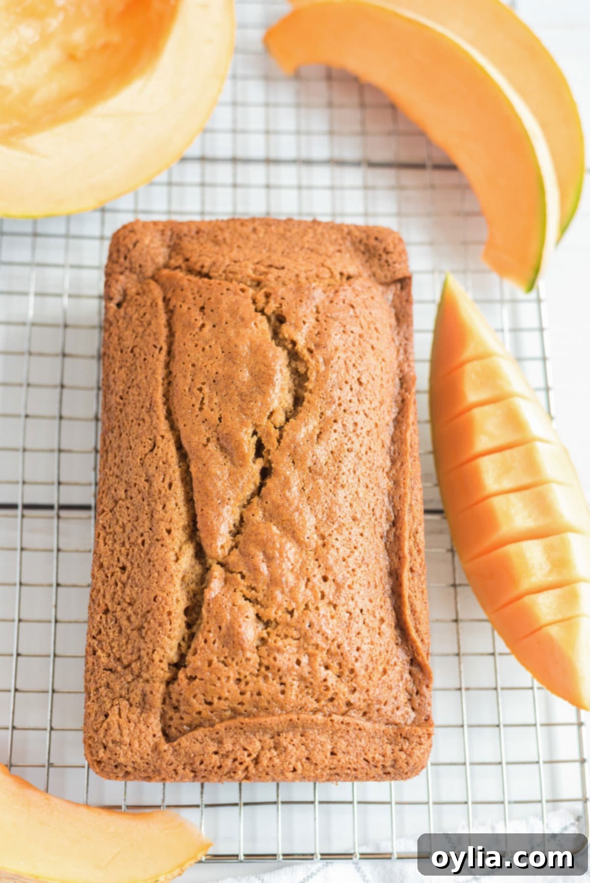 A freshly baked loaf of cantaloupe quick bread resting on a cooling rack.