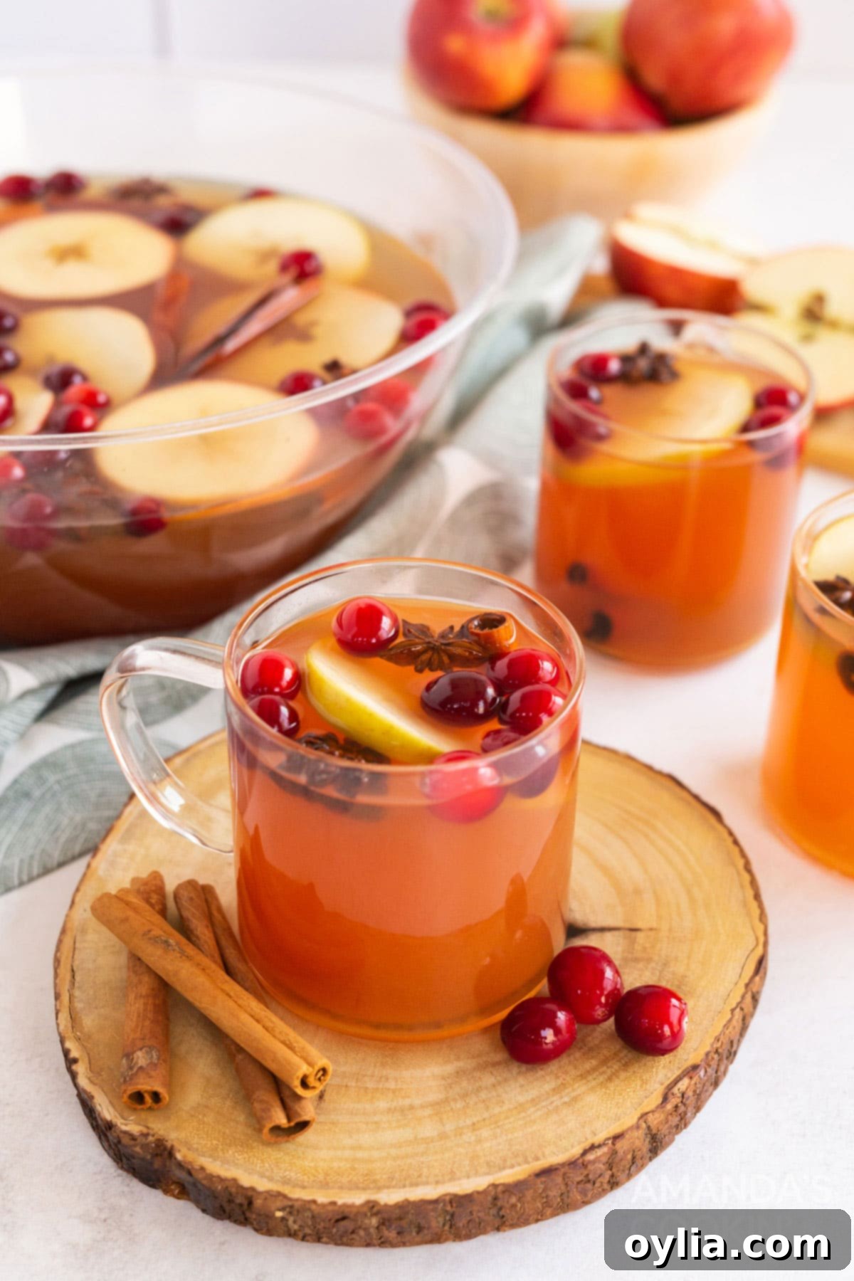 2 simple ingredients plus 2 spicy sweet additions makes this amazing Hot Apple Cider. Think fall festivals, parties, and backyard bonfires! glass mug of hot apple cider on a wooden tray