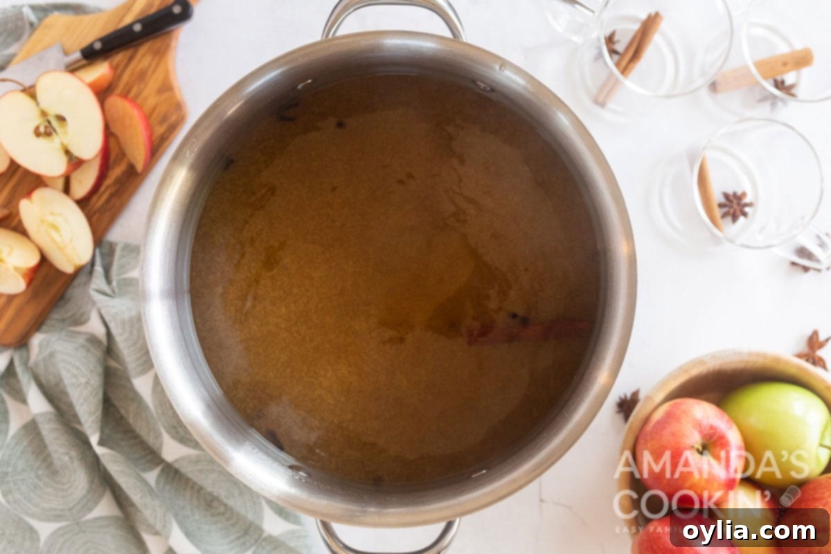 Mulled Apple Cider 3 hot cider ingredients in a pot