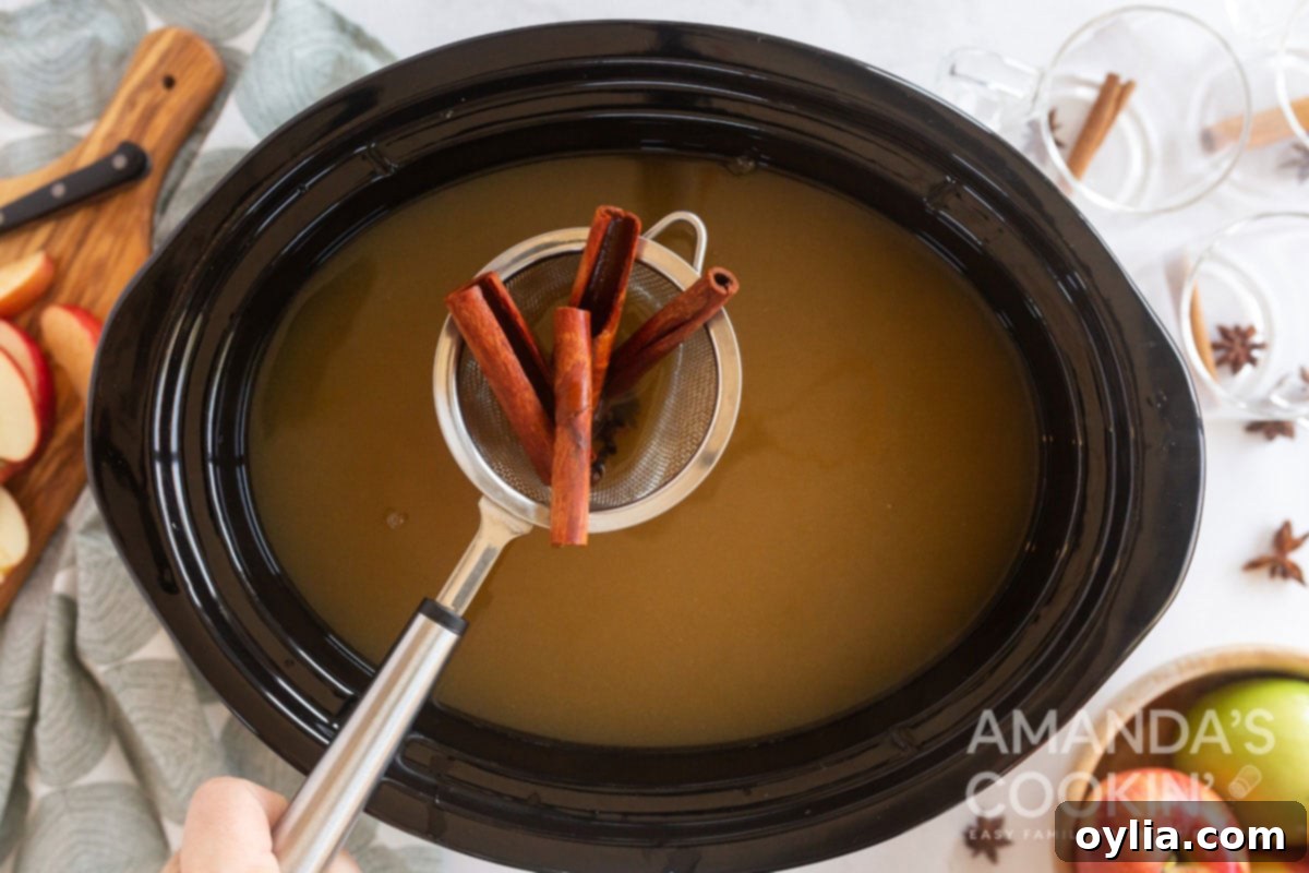 Mulled Apple Cider 4 strainer with cinnamon sticks