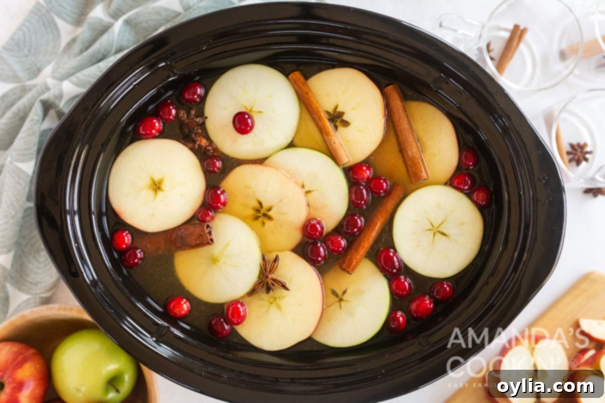 2 simple ingredients plus 2 spicy sweet additions makes this amazing Hot Apple Cider. Think fall festivals, parties, and backyard bonfires! hot apple cider in crockpot