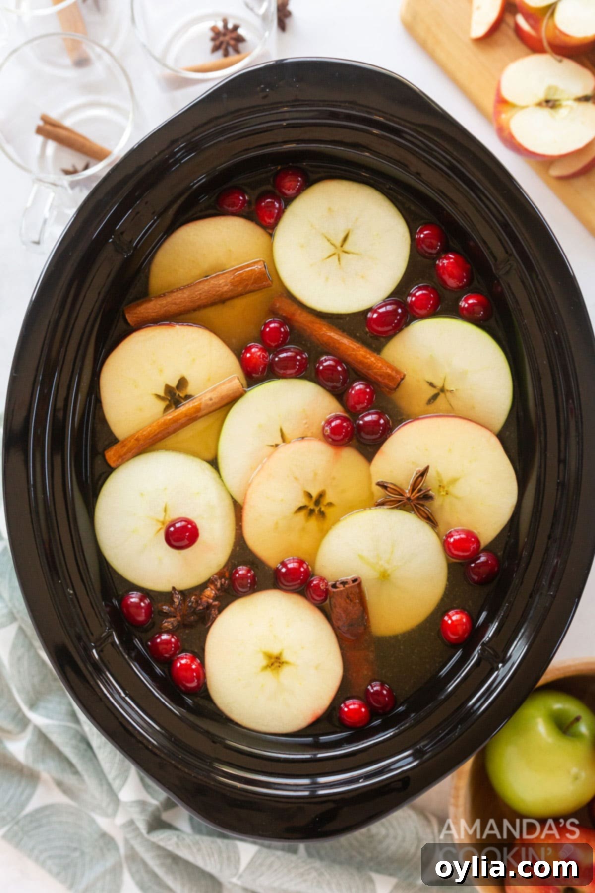 2 simple ingredients plus 2 spicy sweet additions makes this amazing Hot Apple Cider. Think fall festivals, parties, and backyard bonfires! hot apple cider with garnishes in a crockpot