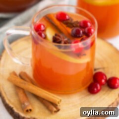 Mulled Apple Cider 5 glass mug of hot apple cider
