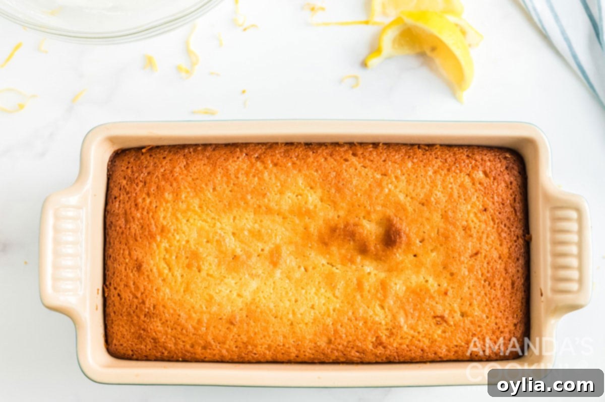 baked lemon loaf on loaf pan, golden brown and perfectly risen