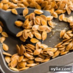 Golden Roasted Pepitas 10 cookie sheet of roasted pumpkin seeds and spatula, a classic fall snack.