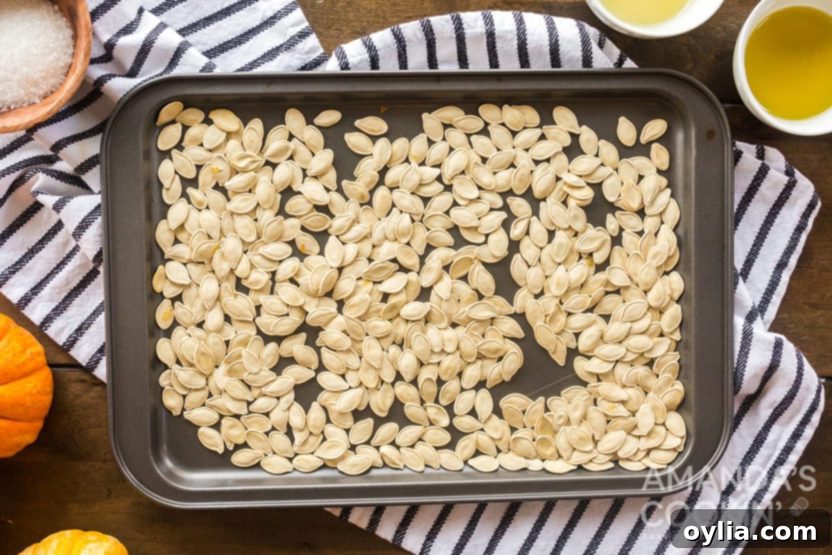 Golden Roasted Pepitas 6 pumpkin seeds spread on a baking sheet, having dried overnight for maximum crispness.