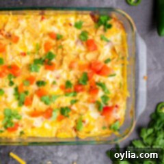 A beautiful dish of Mexican Chicken Casserole, garnished and ready to be enjoyed.