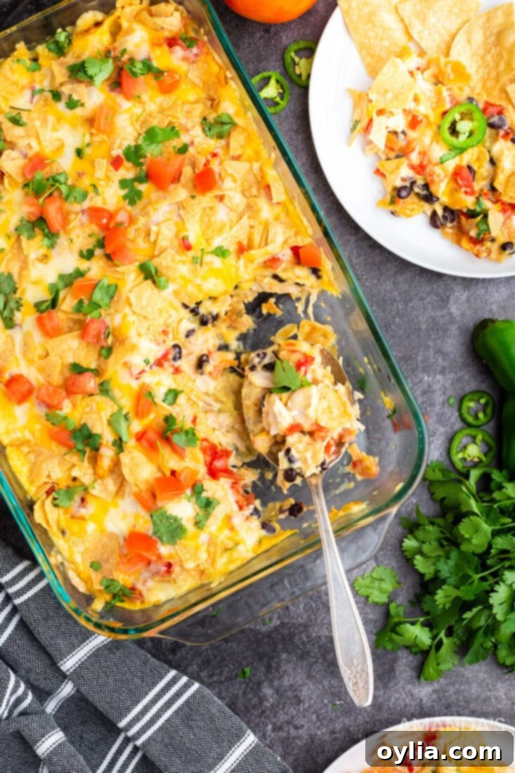 An overhead shot of the completed Mexican Chicken Casserole, garnished with fresh cilantro and diced tomatoes, ready to be served.