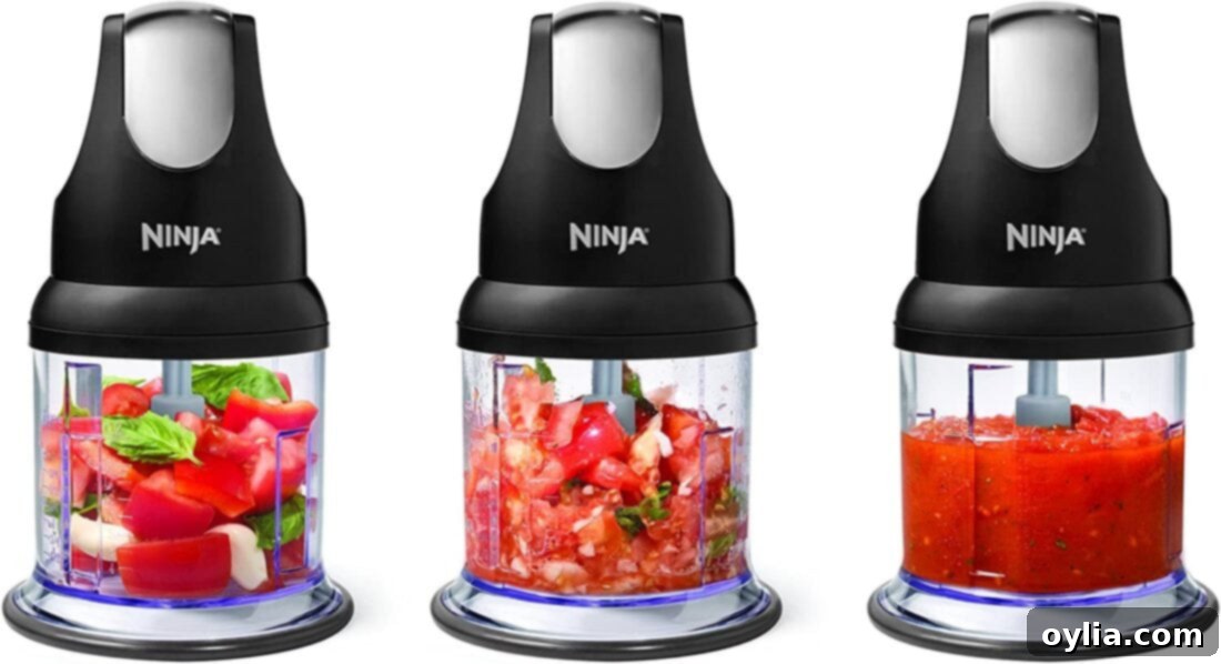 ninja food processor