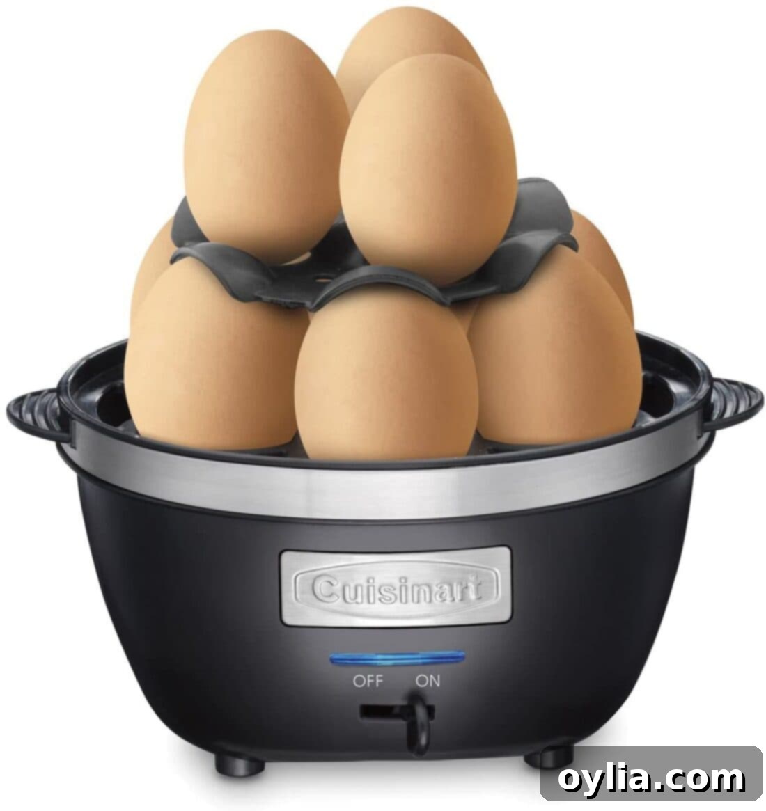 eggs in an egg cooker