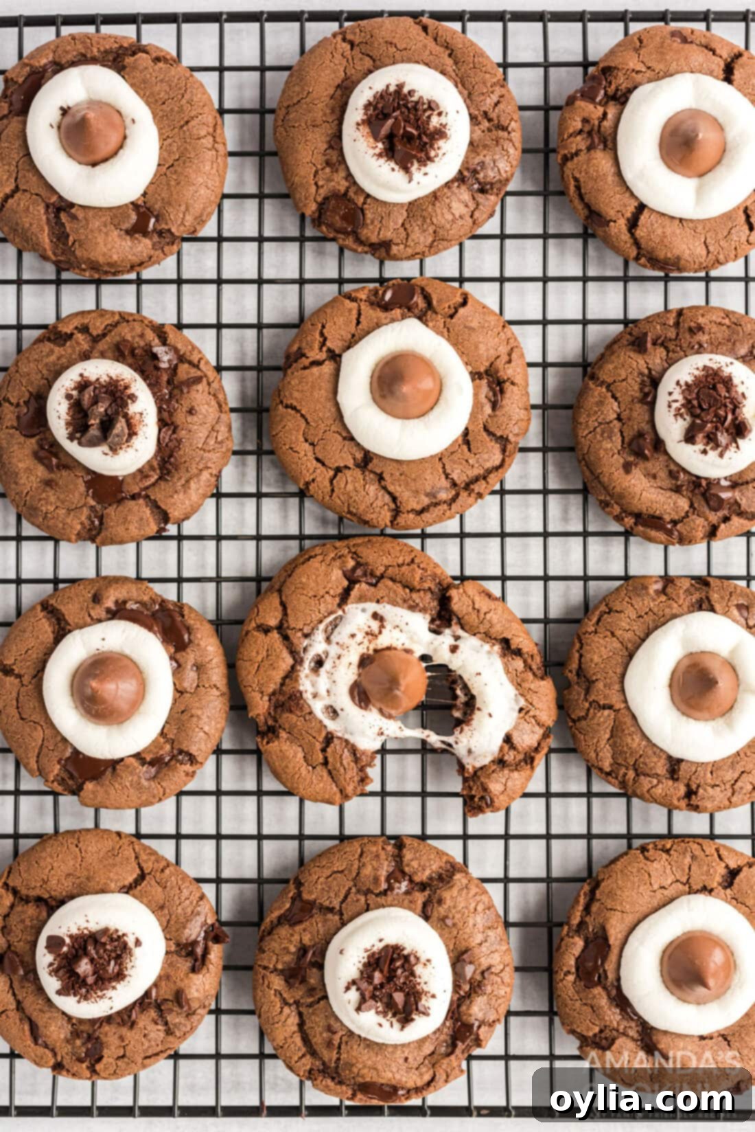 Hot Chocolate Cookie Bliss 2 Hot Cocoa Cookies on a cooling rack, freshly baked and topped with marshmallows