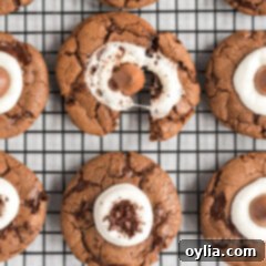 Hot Chocolate Cookie Bliss 17 Hot cocoa cookie pulled apart showing melted marshmallow