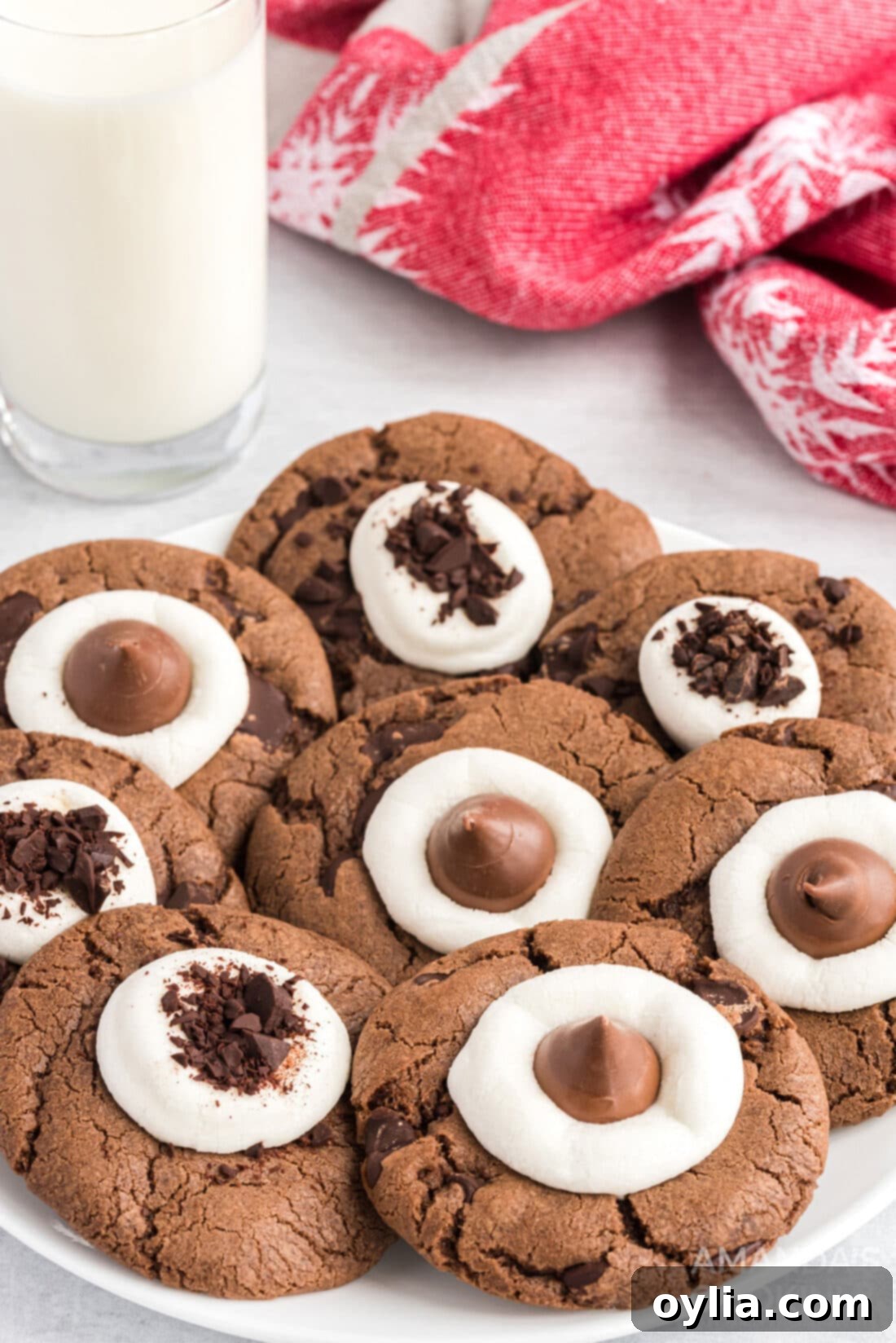 Hot Chocolate Cookie Bliss 3 Hot Cocoa Cookies on a plate with a glass of milk, inviting and delicious