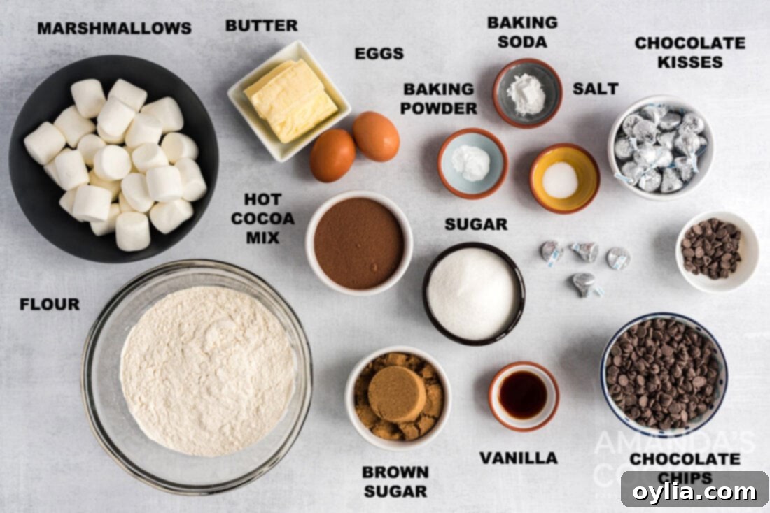 Hot Chocolate Cookie Bliss 4 Labeled ingredients for hot cocoa cookies laid out neatly