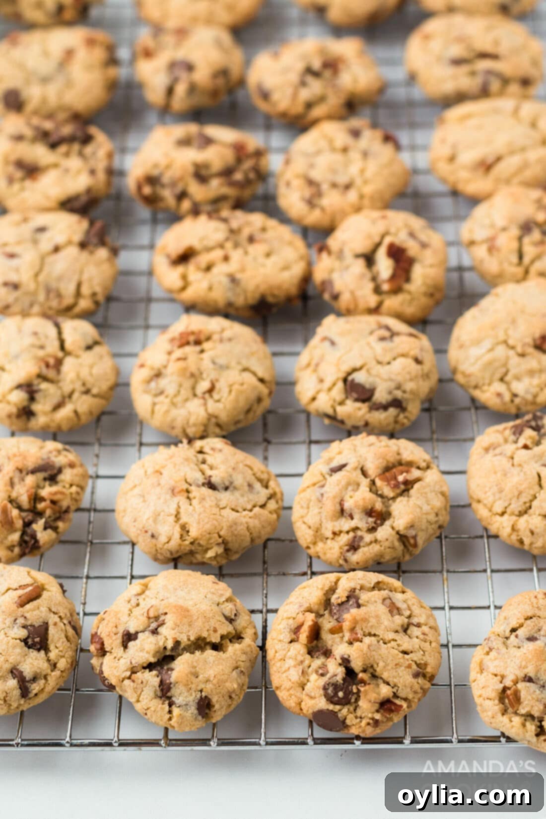 neiman marcus cookies on wire rack