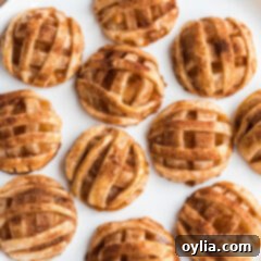 Apple Crumble Cookies 17 A selection of freshly baked apple pie cookies, perfect for a quick and easy dessert.