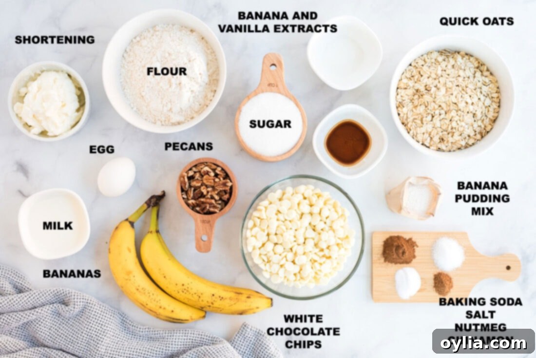 Banana Bliss Bites 5 All ingredients for banana cookies laid out and labeled on a kitchen counter