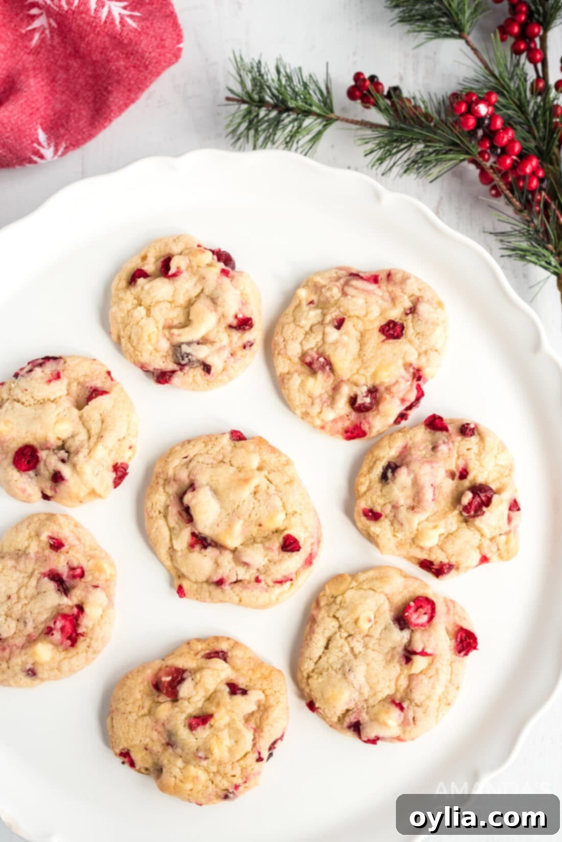 Plate of perfectly baked White Chocolate Cranberry Cookies