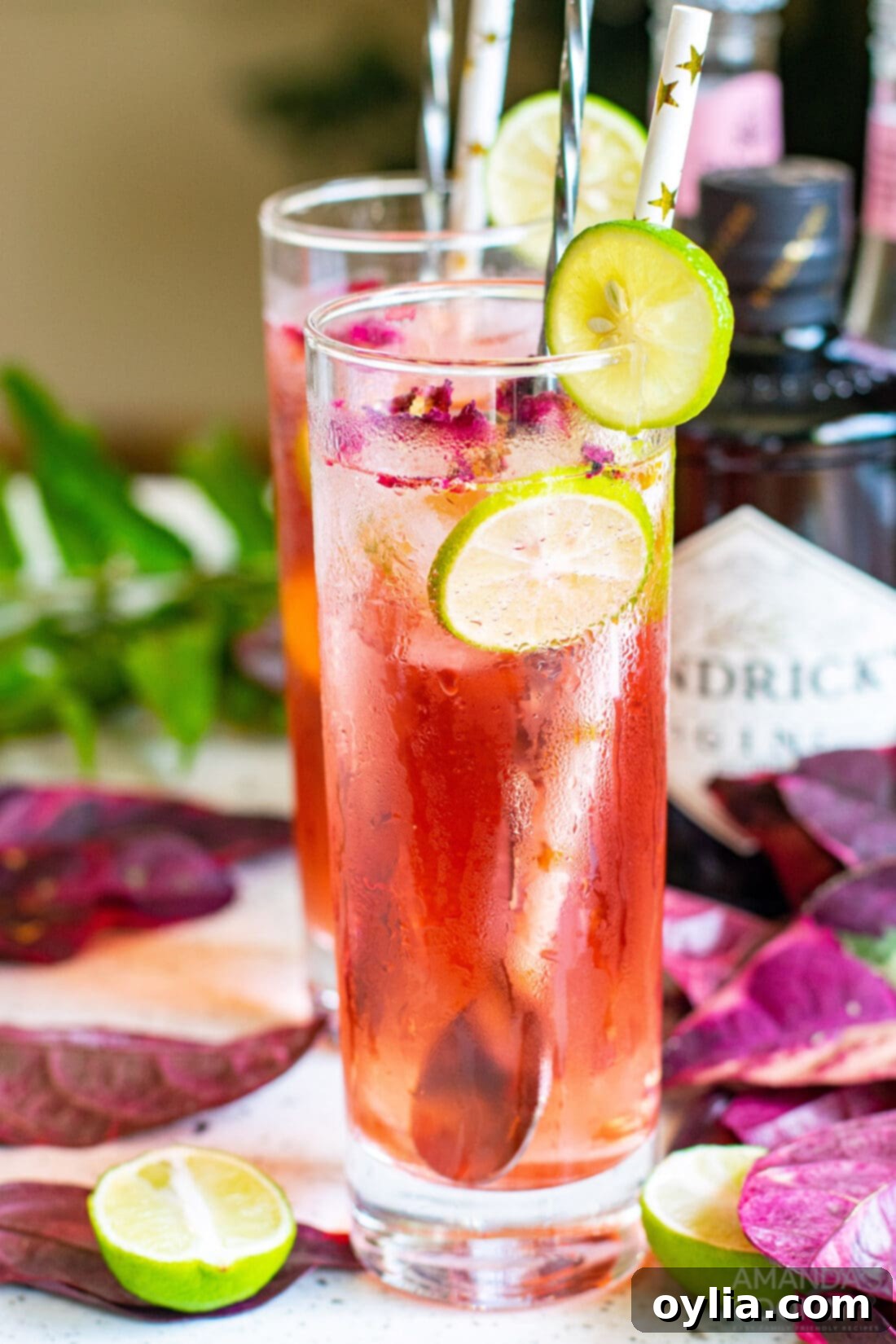 Pink Gin and Tonic 4 Pink Gin & Tonic with lime wedge and paper straw