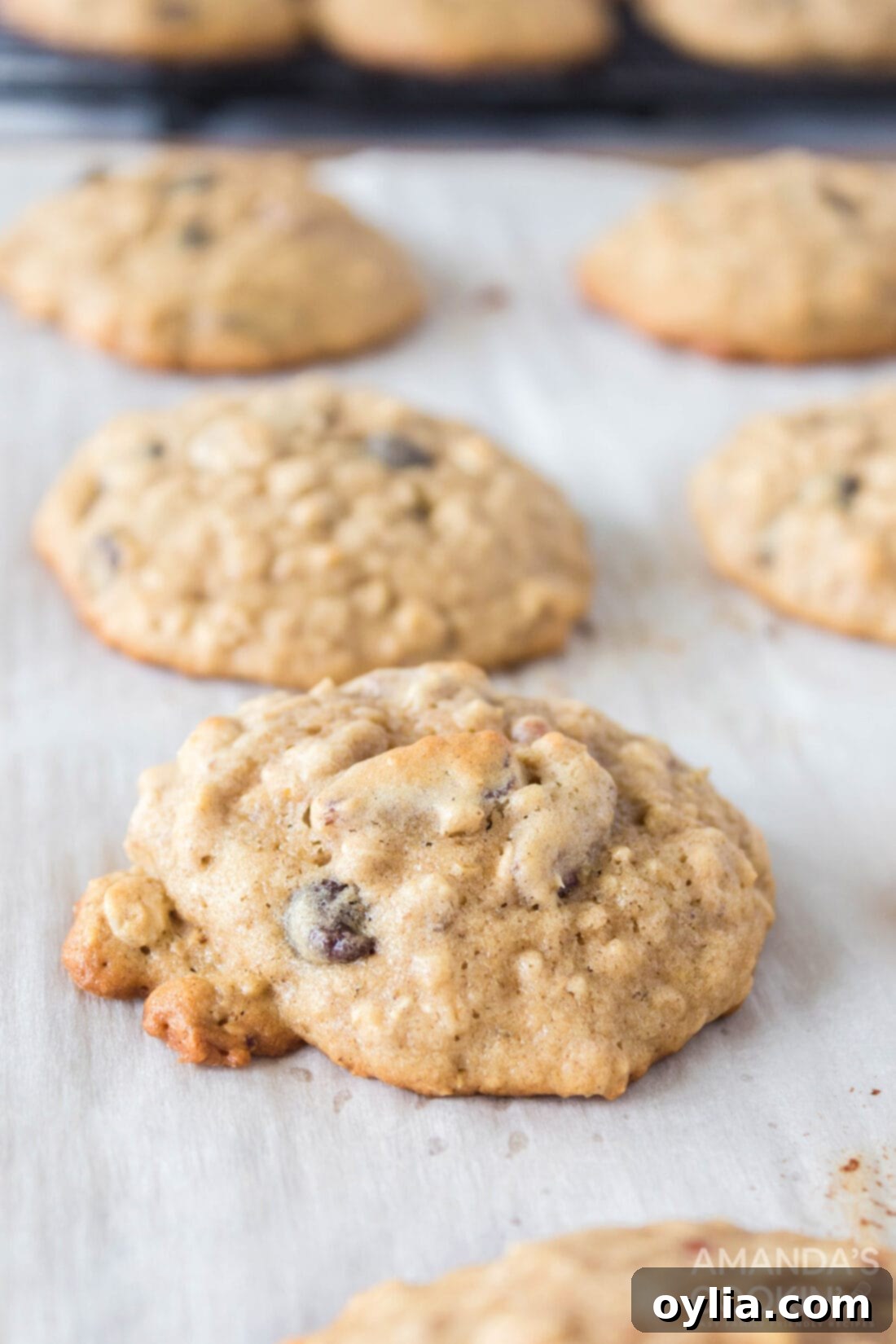 Oatmeal Cookies on Parchment Paper