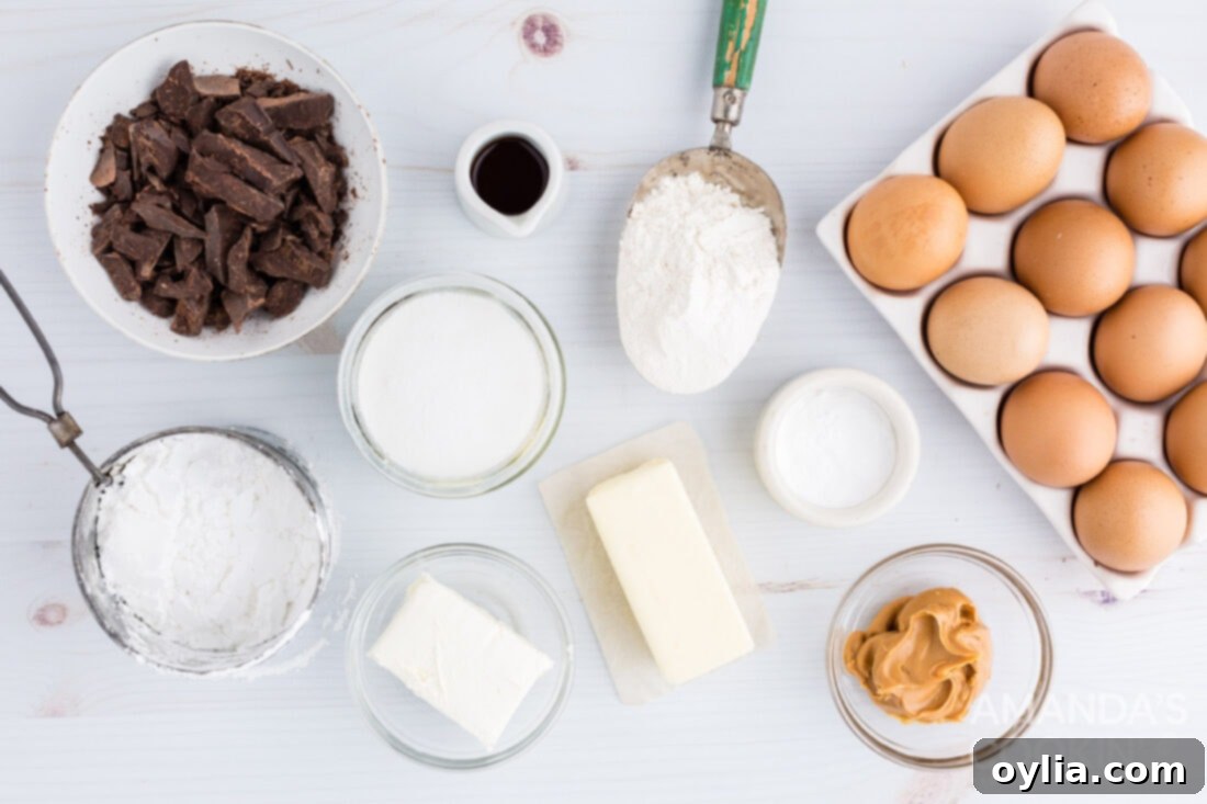 Ingredients for fudge brownies with peanut butter frosting laid out on a counter
