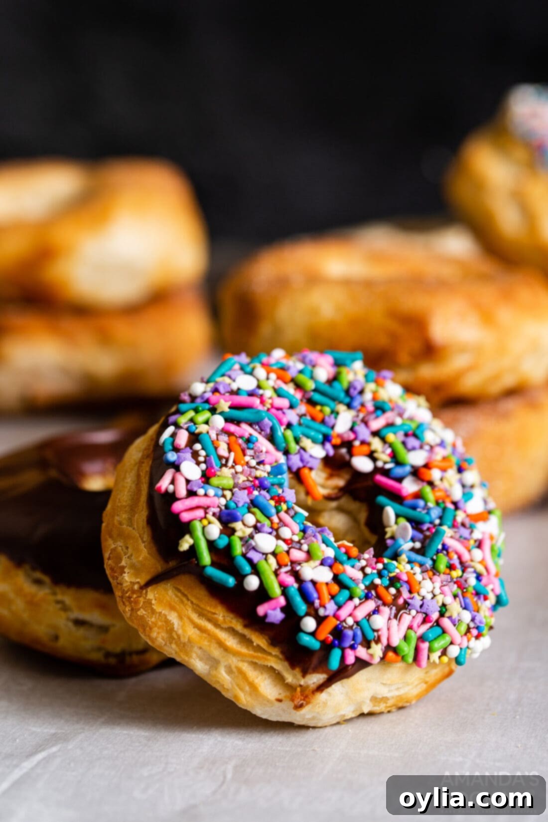 chocolate sprinkled air fryer donut