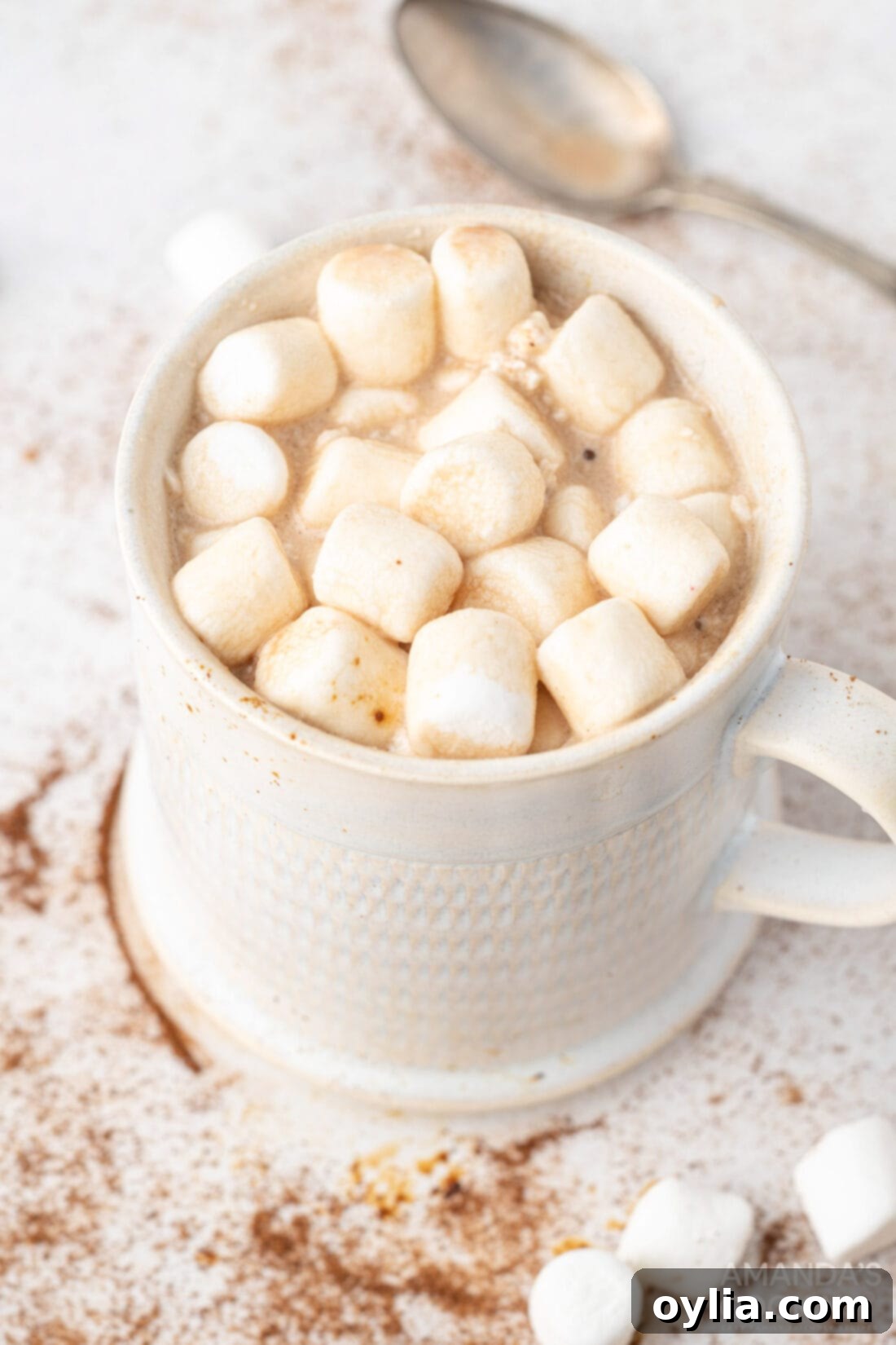 A warm mug of mocha hot chocolate, topped with melted marshmallows, ready to be enjoyed.