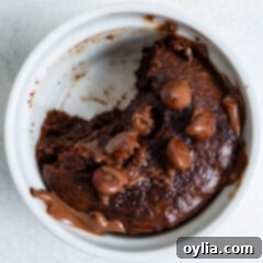 air fryer brownie with a bit out of it