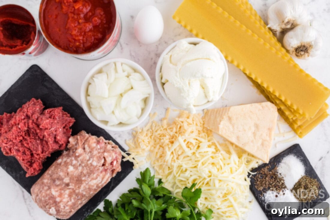 Set It and Forget It Lasagna 4 An array of fresh ingredients for crockpot lasagna, including ground meat, various cheeses, uncooked lasagna noodles, and canned tomatoes.