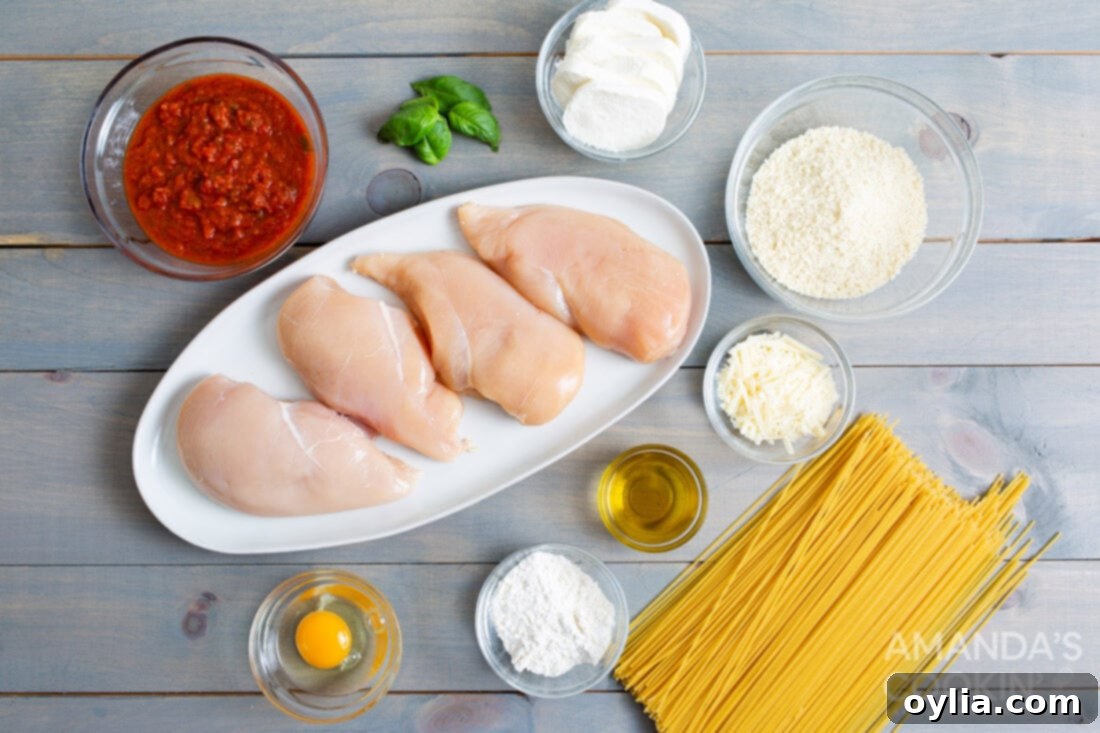 Crispy Air Fryer Chicken Parmesan 5 A flat lay photograph showcasing all the fresh ingredients needed for air fryer chicken parmesan, including chicken breasts, marinara, mozzarella, parmesan, flour, eggs, and panko breadcrumbs.