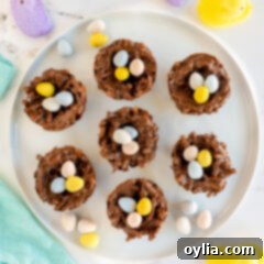 Bird Nest Cookies