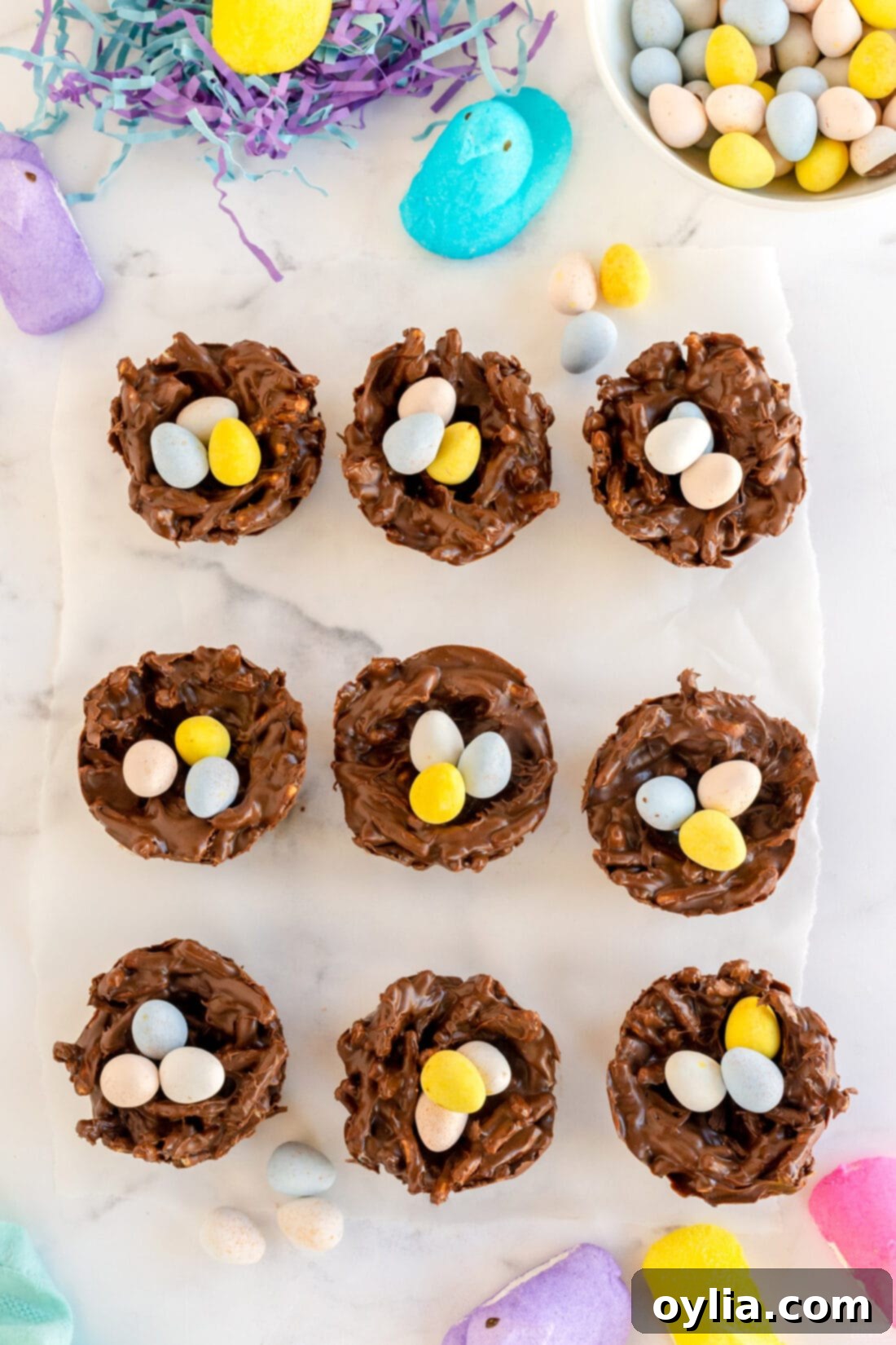 Close-up of Finished No-Bake Bird Nest Cookies with Candy Eggs