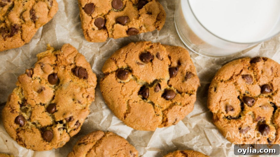 Delicious Air Fryer Chocolate Chip Cookies, golden brown and perfectly baked.