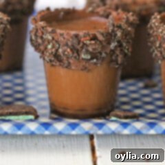 chocolate liqueur in a shot glass