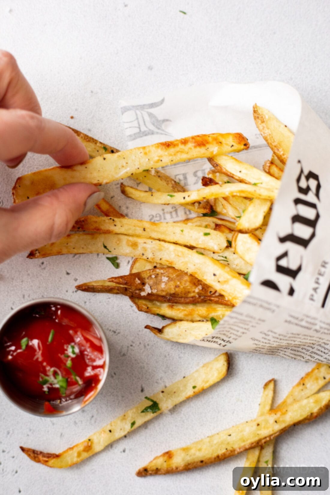 Golden Crispy Air Fryer Fries 3 hand taking an air fryer french fry