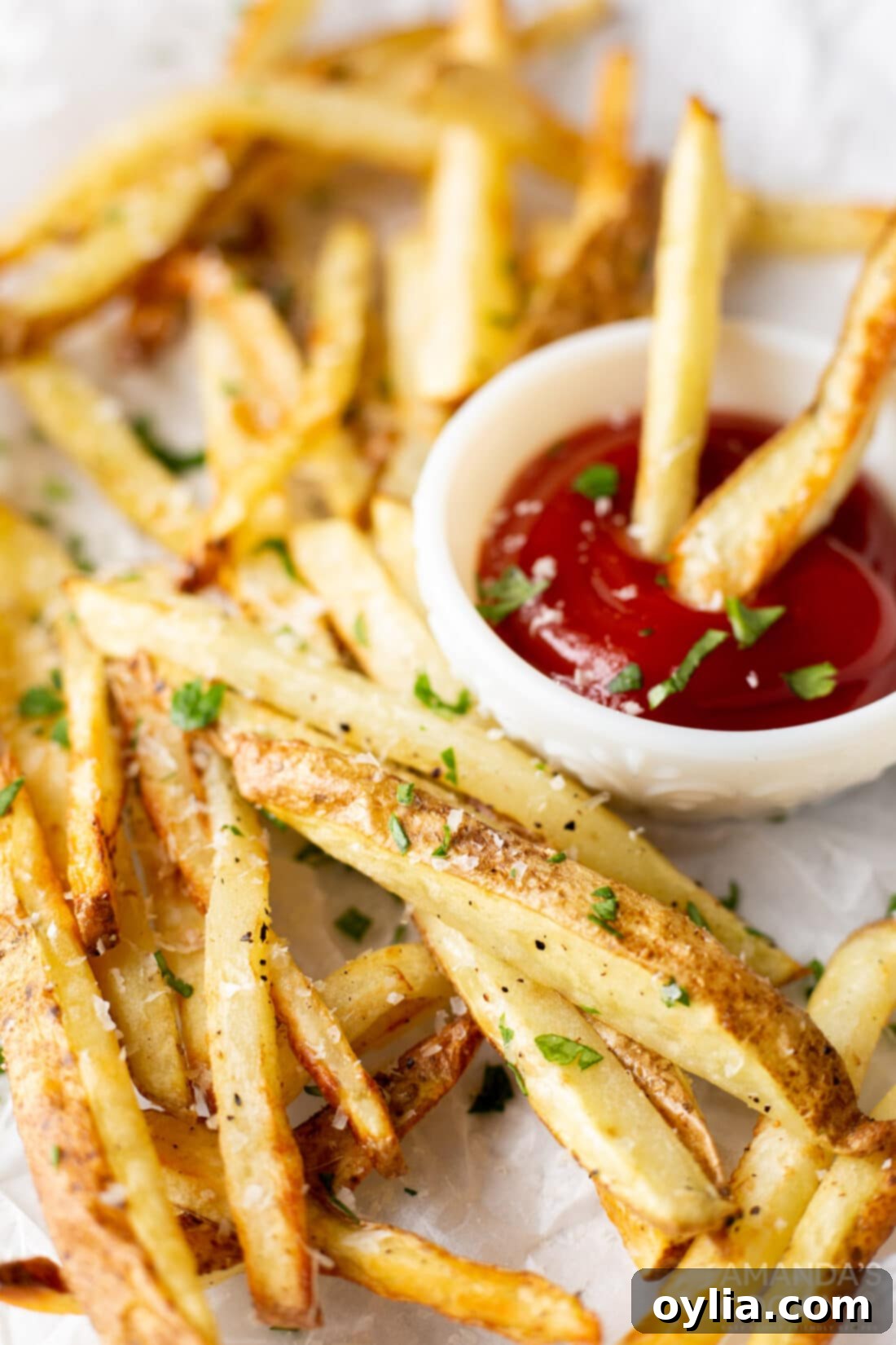 Golden Crispy Air Fryer Fries 9 air fryer french fries with ketchup