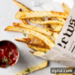 Golden Crispy Air Fryer Fries 10 air fryer french fries