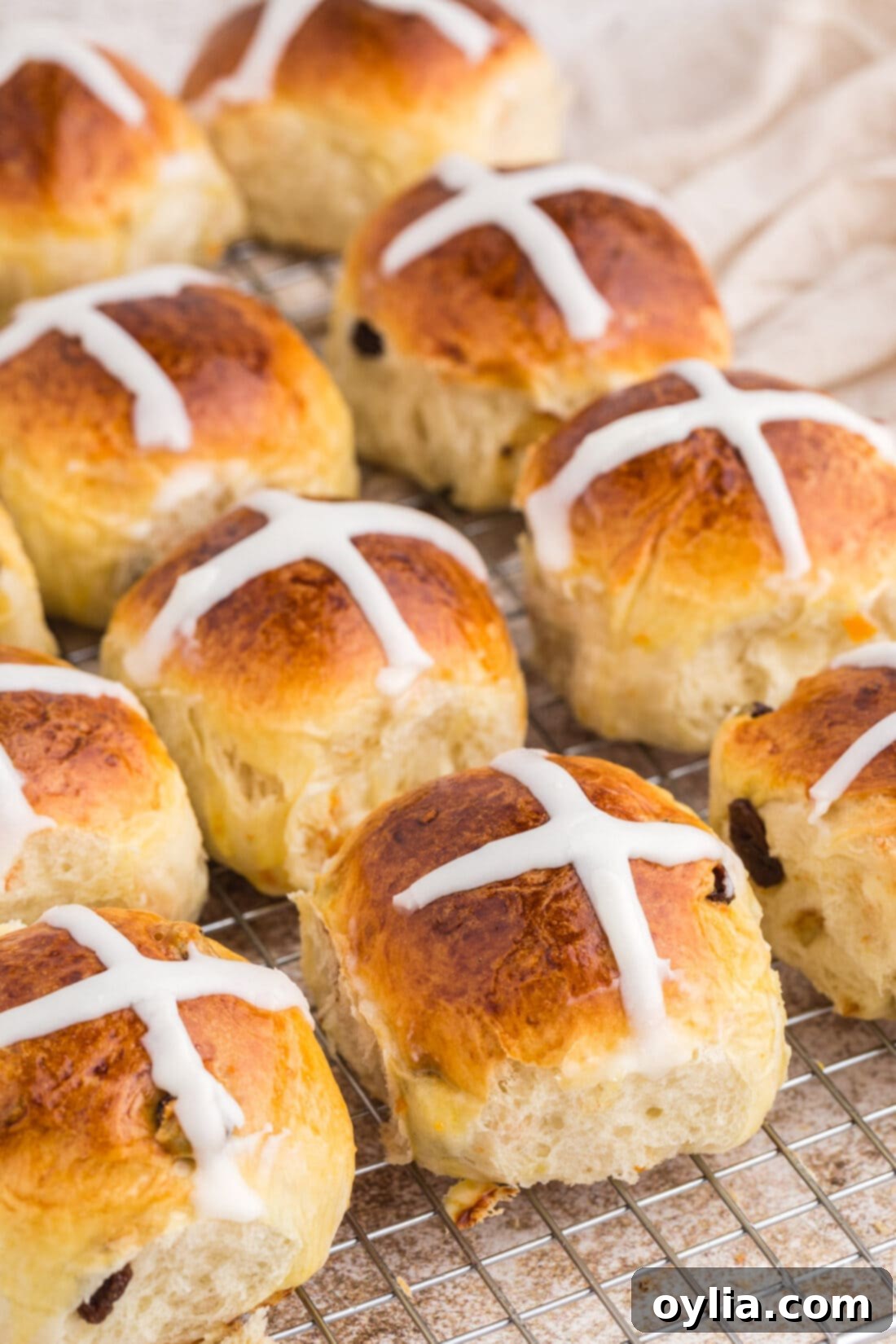 Hot Cross Buns on a wire rack, freshly baked and ready to be iced