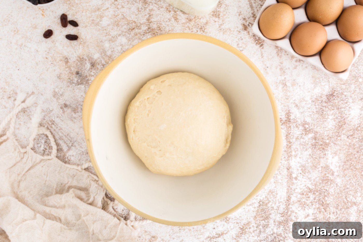 Greased dough ball in a large bowl, ready for the first rise