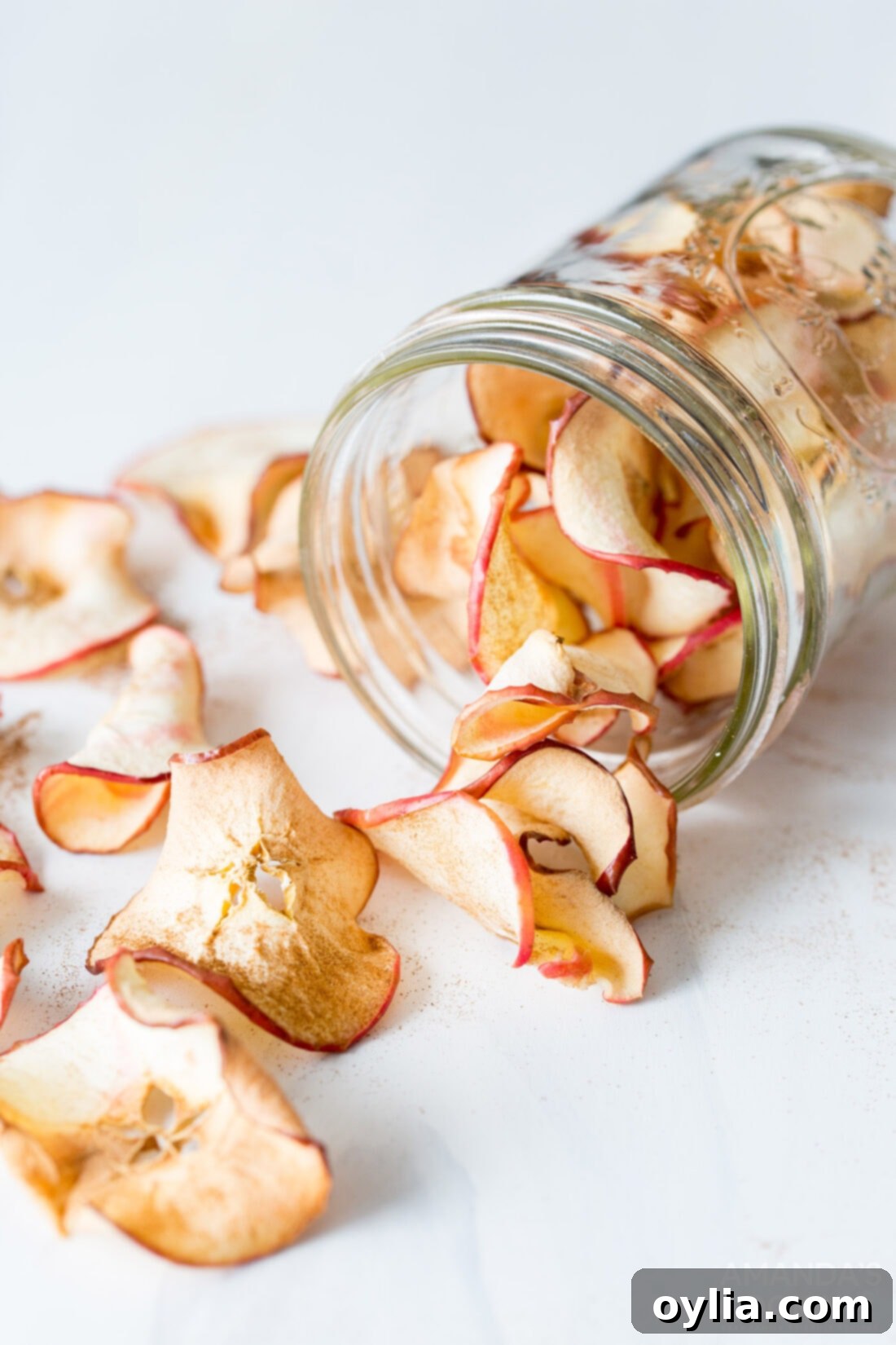 jar of air fryer apple chips