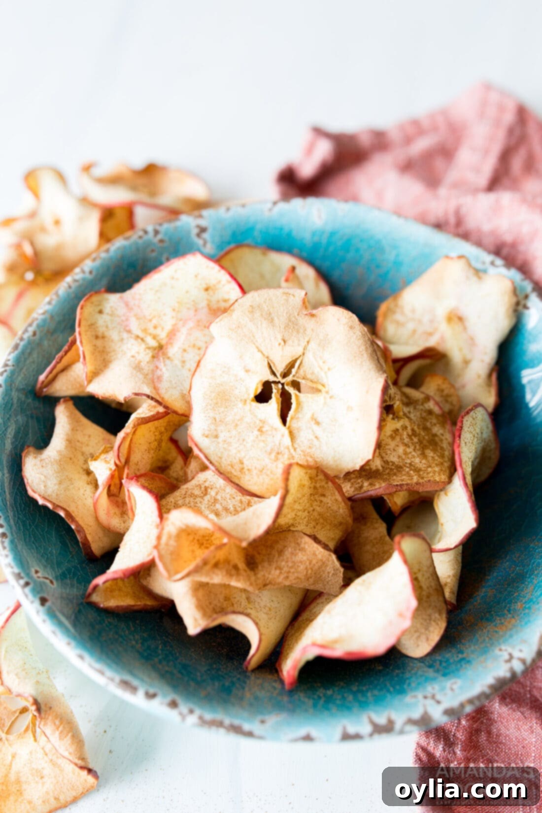 bowl of apple chips
