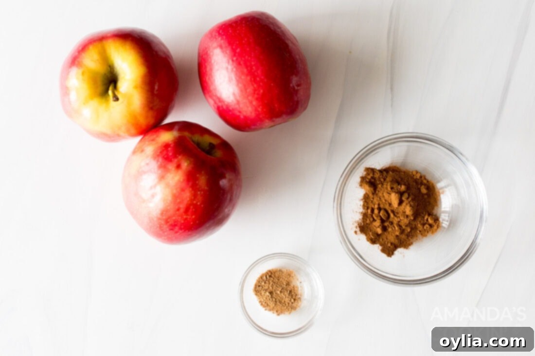 ingredients for making air fryer apple chips
