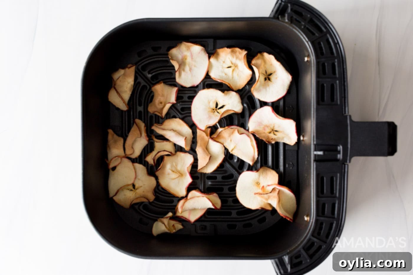 dehydrated apple chips in an air fryer